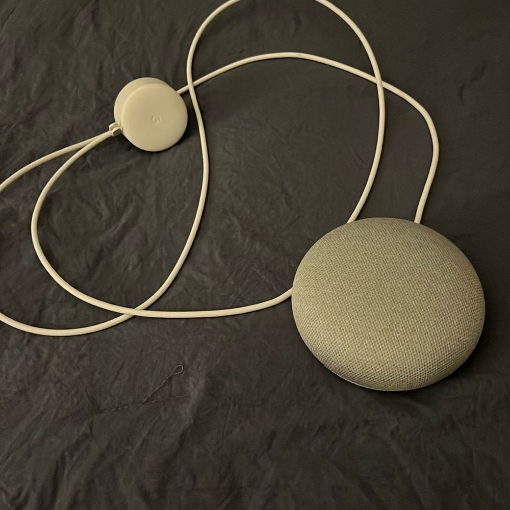 Google home mini